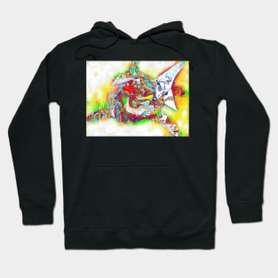 Shark 14 Hoodie